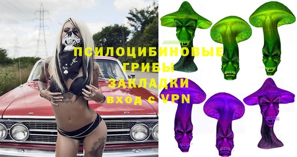 тгк Володарск