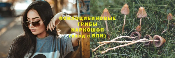 винт Шали