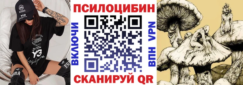 Галлюциногенные грибы прущие грибы  Ноябрьск 