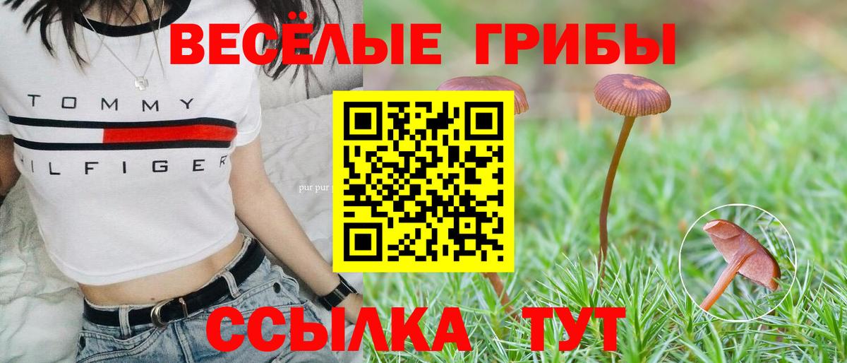 Ноябрьск  Галлюциногенные грибы мухоморы  Вход с VPN 