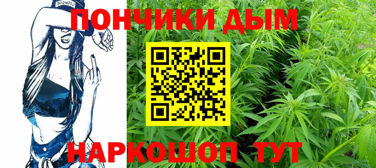 Каннабис индика Ноябрьск